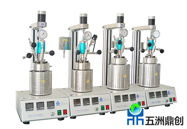 WZBM系列機械磁力攪拌平行反應釜